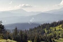 网球足球即时比分-实时追踪赛场脉搏，网球足球即时比分，体育迷的必备神器